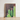 Framed Artwork Vibrant Green Cacti Textured Dark Brown Desert Drama, Modern Cactus Photography, Spiky Adventure