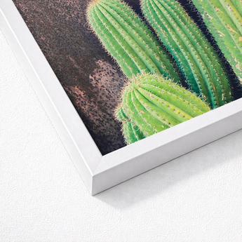White-framed Cactus Print Vibrant Green Spiky Succulents Dark Framed Desert Drama, Modern Photography, Adventure