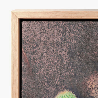 Framed Canvas Print Textured Rust-colored Desert Landscape Green Drama, Modern Cactus Photography, Spiky Adventure
