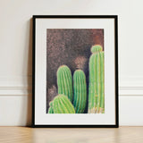Family Affair - Modern Cactus Art Print / Canvas Framed Photograph Vibrant Green Cacti Spines Textured Earthy-toned Desert Drama,