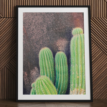 Family Affair - Modern Cactus Art Print / Canvas Framed Photographic Vibrant Green Cacti Spines Textured Desert Drama, Photography, Spiky