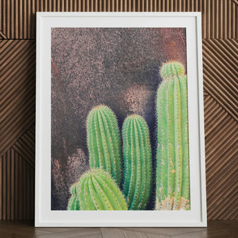 Family Affair - Modern Cactus Art Print / Canvas White-framed Wall Vibrant Green Columnar Cacti Framed Desert Drama, Photography, Spiky
