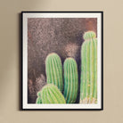 Family Affair - Modern Cactus Art Print, Green Saguaro Cacti Prominent Vertical Ridges Spines