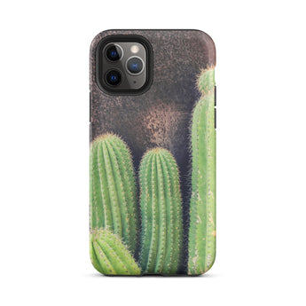 Family Affair - Modern Cactus Iphone Case 11 Pro / Matte Cactus-themed Phone Case Striking Iphone Case, Modern Cactus Photography,