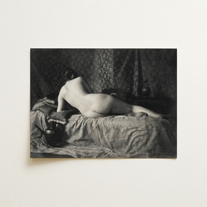 Female Nude from the Back Art Print / Canvas, 16x12’’ / 41x31cm / Unframed / no Border, Posters Prints & Visual Artwork, Toby Leon