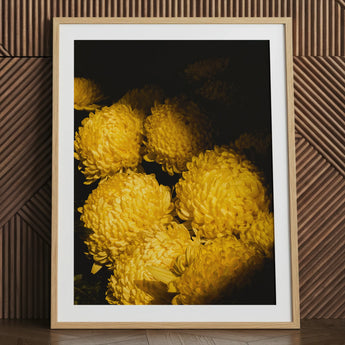 Field of Dreams - Stampa artistica / tela Crisantemi del Vietnam, 24x32’’ / 61x81cm / Cornice naturale / Passe-partout, Poster, stampe e opere d’arte visiva,