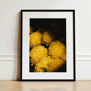 Field of Dreams - Vietnam Chrysanthemums Art Print / Canvas Black-framed Cluster Vibrant Yellow Dark Vietnam’s Floral Legacy, Chiaroscuro