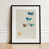 Five Butterflies - Odilon Redon Art Print / Canvas, 12x16’’ / 31x41cm / Black Frame / Matboard, Posters Prints & Visual Artwork, Toby Leon