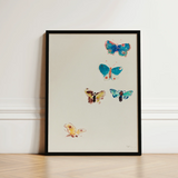Framed Artwork Five Colorful Hand-painted Butterflies Blue Teal Odilon Redon, Invisible Aria