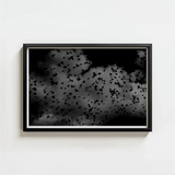 Black-framed Artwork Monochrome Photograph Numerous Birds Flight Dark White Art Print, Gray Canopy, Surge
