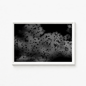 Black-and-white Framed Art Flock Birds Flight Dark Textured White Print, Gray Canopy, Surge
