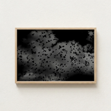 Black-and-white Framed Artwork Flock Birds Flight Dark Textured White Art Print, Gray Canopy, Surge