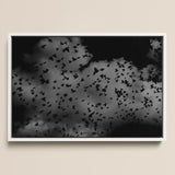 Flock of Birds at Dusk - Black & White Art Print / Canvas Black-and-white Framed Artwork Flight Dark Textured, Gray Canopy, Surge Prints