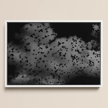 Flock of Birds at Dusk - Black & White Art Print / Canvas Black-and-white Framed Artwork Flight Dark Textured, Gray Canopy, Surge Prints