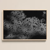 Flock of Birds at Dusk - Black & White Art Print / Canvas Black-and-white Framed Artwork Flock Birds Flight Dramatic Clouds White Art
