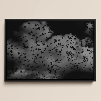 Flock of Birds at Dusk - Black & White Art Print / Canvas Black-framed Artwork Flock Birds Grayscale Cloudy Skies White Art Print, Gray