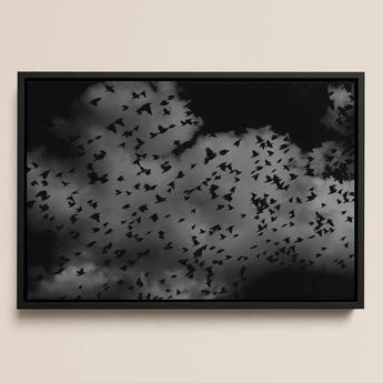 Flock of Birds at Dusk - Black & White Art Print / Canvas Black-framed Artwork Grayscale Cloudy Skies, Gray Canopy, Surge Prints