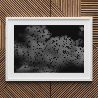 Flock of Birds at Dusk - Black & White Art Print / Canvas Framed Black White Photograph Flock Birds Cloudy Sky Art Print, Gray Canopy, Surge
