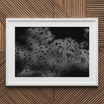 Flock of Birds at Dusk - Black & White Art Print / Canvas Framed Photograph Cloudy Sky, Gray Canopy, Surge Prints