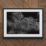 Flock of Birds at Dusk - Black & White Art Print / Canvas Framed Photograph Cloudy Sky, Gray Canopy, Surge Prints