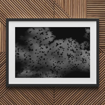 Flock of Birds at Dusk - Black & White Art Print / Canvas Framed Photograph Cloudy Sky, Gray Canopy, Surge Prints