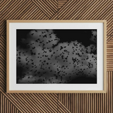 Flock of Birds at Dusk - Black & White Art Print / Canvas Framed Black White Photograph Flock Birds Cloudy Sky Art Print, Gray Canopy, Surge