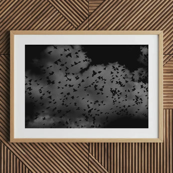 Flock of Birds at Dusk - Black & White Art Print / Canvas Framed Photograph Cloudy Sky, Gray Canopy, Surge Prints