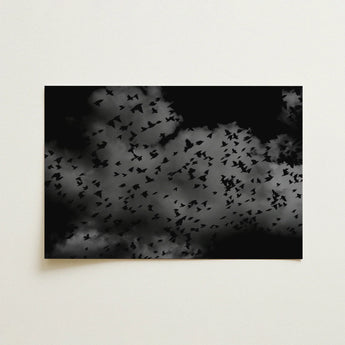 Flock of Birds at Dusk - Black & White Art Print / Canvas Black Gray Photographic Print Flock Birds Flight Dark White Art Print, Canopy,