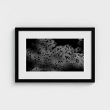 Flock of Birds at Dusk - Black & White Art Print / Canvas, Gray Canopy, Surge Prints
