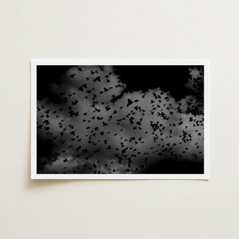 Flock of Birds at Dusk - Black & White Art Print / Canvas, Gray Canopy, Surge Prints