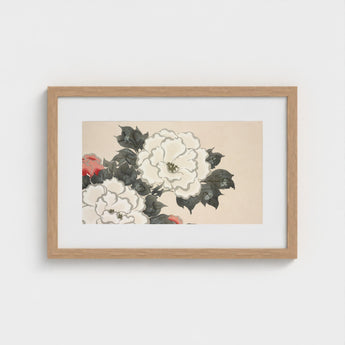 Flowers from Momoyogusa - Kamisaka Sekka Art Print / Canvas Framed Artwork Delicate Illustration White Red Peonies Dark Sekka’s, Prints