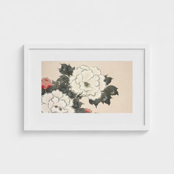 Flowers from Momoyogusa - Kamisaka Sekka Art Print / Canvas White Framed Artwork Delicate Red Peonies Dark Green Sekka’s, Prints