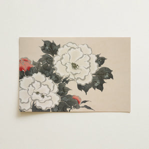 Flowers from Momoyogusa - Kamisaka Sekka Art Print / Canvas, 18x12’’ / 46x31cm / Unframed / no Border, Posters Prints & Visual Artwork,