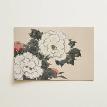 Flowers from Momoyogusa - Kamisaka Sekka Art Print / Canvas, 18x12’’ / 46x31cm / Unframed / no Border, Posters Prints & Visual Artwork,