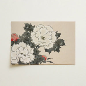Flowers from Momoyogusa - Kamisaka Sekka Art Print / Canvas Rectangular Traditional Japanese-style Floral Design White Sekka’s, Prints