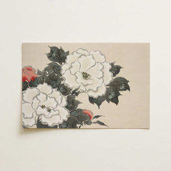 Flowers from Momoyogusa - Kamisaka Sekka Art Print / Canvas Rectangular Canvas Print Traditional Japanese-style Floral Design White
