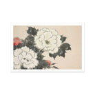Flowers from Momoyogusa - Kamisaka Sekka Art Print, White Peonies Dark Green Leaves Pink Buds Painted
