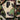 Flute Player - Kamisaka Sekka Art Phone Case Sekka’s, Japanese Aesthetic