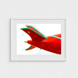 Flying High - Amusement Park Airplane Art Print / Canvas, Catapults, Retro Design Meets Avant-garde Photography Prints