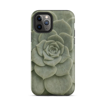 Geometric Succulent Phone Case Iphone 11 Pro / Matte Sleek Matte-finish Phone Case Detailed Muted Green Succulent Baja California’s Stone,