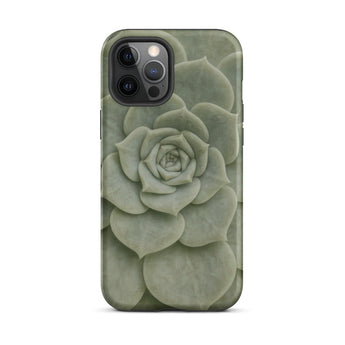 Geometric Succulent Phone Case Iphone 12 Pro Max / Matte Sleek Matte-finish Phone Case Detailed Pale Green Succulent Baja California’s