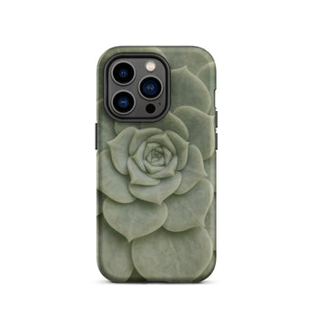 Geometric Succulent Phone Case Iphone 14 Pro / Matte Sleek Matte-finish Phone Case Detailed Pale Green Succulent Baja California’s Stone,