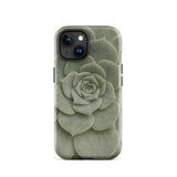 Geometric Succulent Phone Case Iphone 15 / Gloss Sleek Matte-finish Phone Case Detailed Pale Green Succulent Baja California’s Stone,
