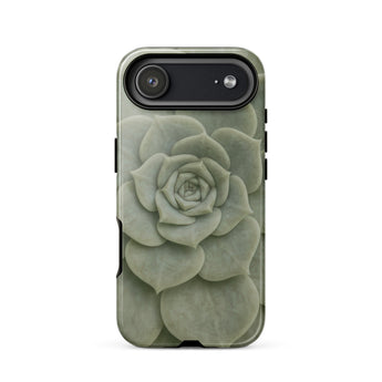 Geometric Succulent Phone Case Iphone 17 Air / Gloss Sleek Matte-finish Phone Case Detailed Pale Green Succulent Baja California’s Stone,