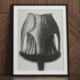 Geum Rivale (knikkend nagelkruidbloem–knop) - Karl Blossfeldt kunstprint / Canvas, 24x32’’ / 61x81cm / Zwart Frame / Matboard, Posters Prints &