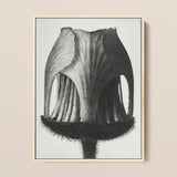 Geum Rivale (nodding Avens Flower–bud) - Karl Blossfeldt Art Print / Canvas, 12x16’’ / 31x41cm / Natural Frame, Posters Prints & Visual