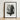Black-framed Art Print Detailed Monochrome Illustration Flower’s Interior Karl Blossfeldt Photograph, Geum Rivale