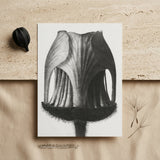 Geum Rivale (nodding Avens Flower–bud) - Karl Blossfeldt Art Print / Canvas Black-and-white Botanical Illustration Print Flower’s Interior