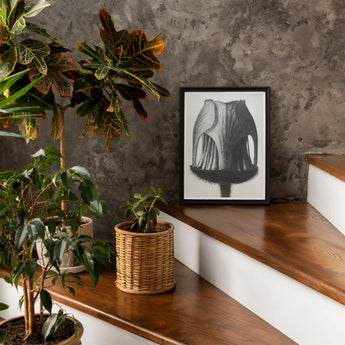 Geum Rivale (nodding Avens Flower–bud) - Karl Blossfeldt Art Print / Canvas Framed Black White Photograph Tulip-shaped Object, Prints