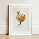 Gilded Rooster - Karl J. Hentz 1930s Decorative Art Print / Canvas, 12x16’’ / 31x41cm / White Frame / Matboard, Posters Prints & Visual